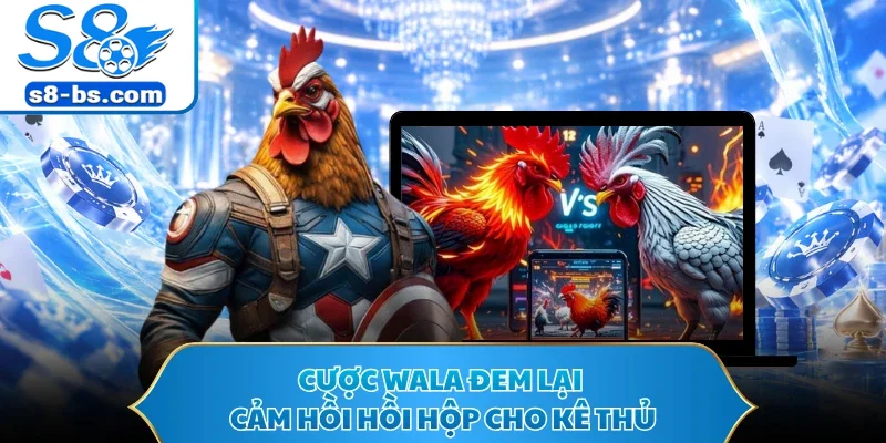 Cược Wala đem lại cảm hồi hồi hộp cho kê thủ