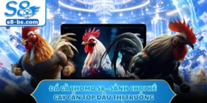 Đá Gà Thomo S8 - Sảnh Chọi Kê Gay Cấn Top Đầu Thị Trường